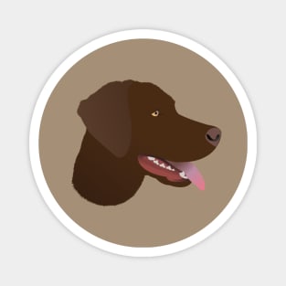 Chocolate Labrador Magnet